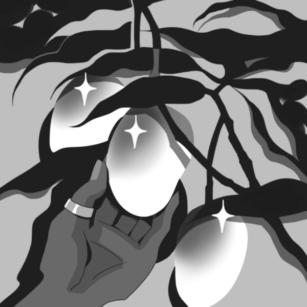 File:Tropicalfx2 fx.png