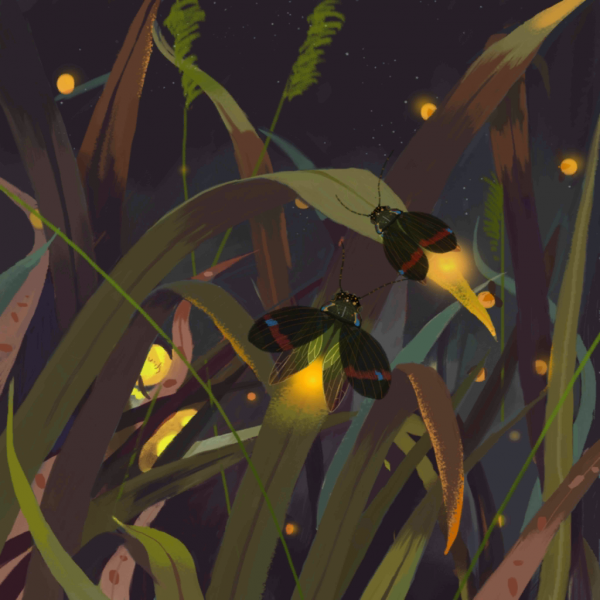 File:Nature4 bass.png