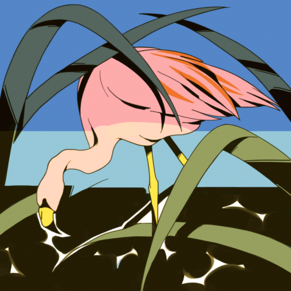File:Tropical wild.png