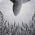 Thumbnail for version as of 19:06, 29 April 2018