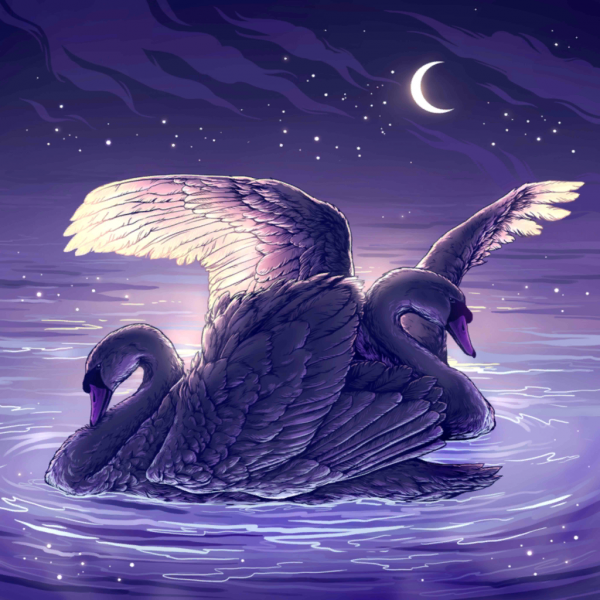 File:Animals wild.png