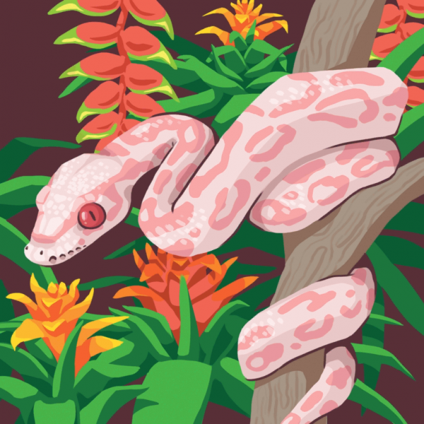 File:Tropical2 loop.png