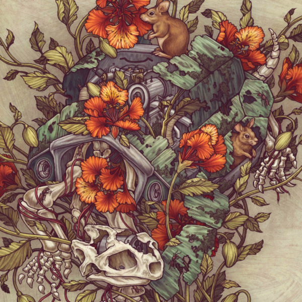 File:Jolene wild.png