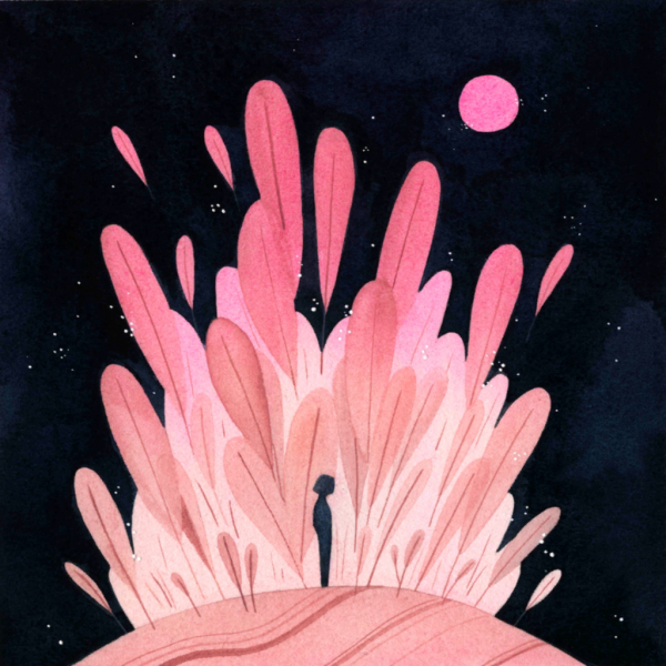 File:Nature1 loop.png